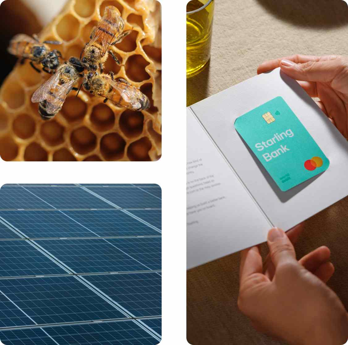 A collection of 3 images. The bees, solar panels, Starling bank card in a packaging Starling bank card in the hand.