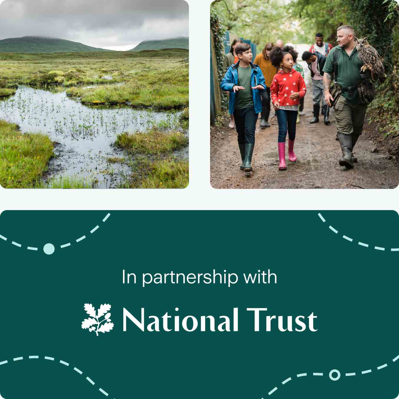 A collection of 3 images. National Trust logo, Kids in the forest walk, view of the mountains.