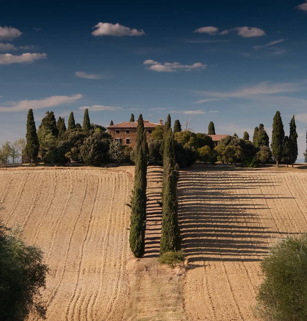 field with trees and houses