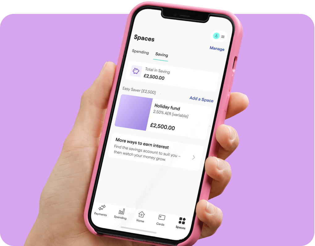 An example of an Easy Saver