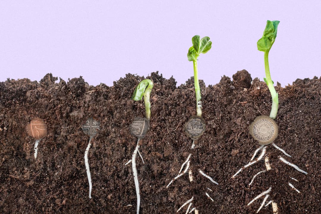 Image of a seedlings in different stages of development, with pound coins or pennies at their base in the soil