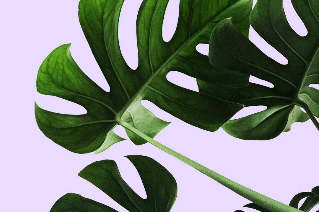 The Sustainability Jargon Buster