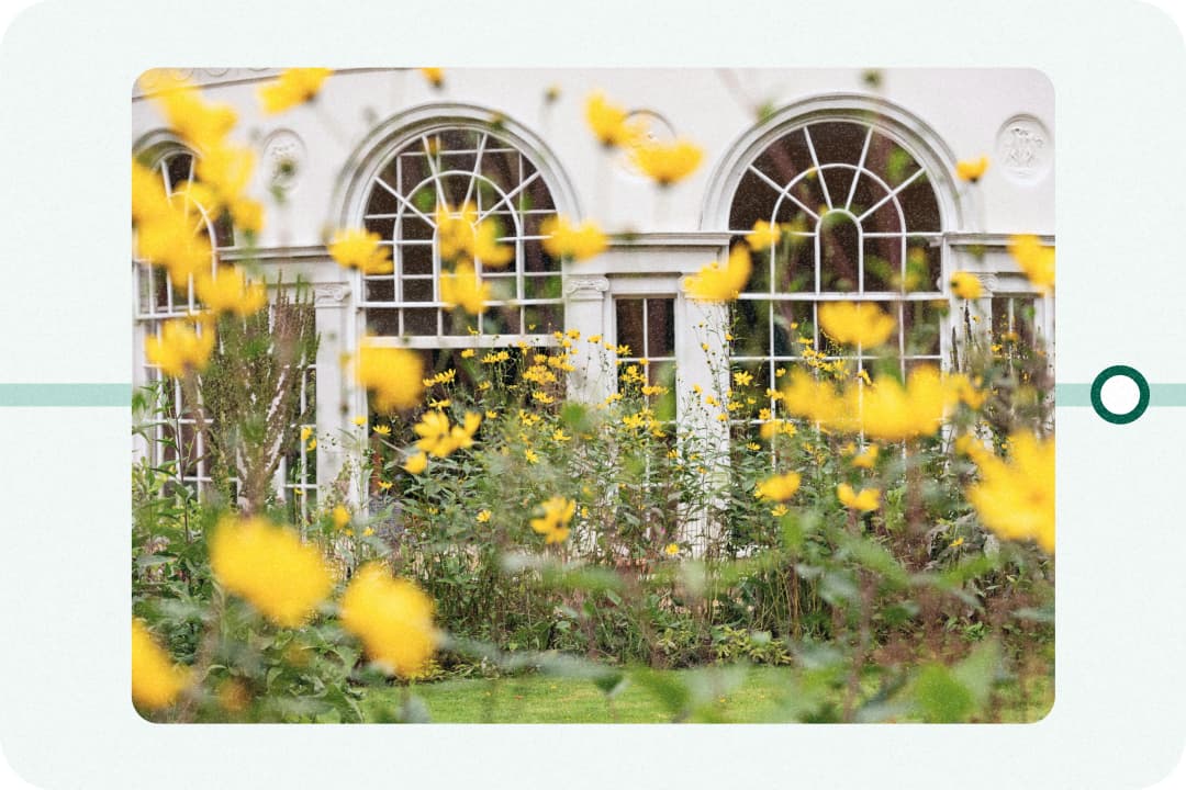 yellow flowers, old building