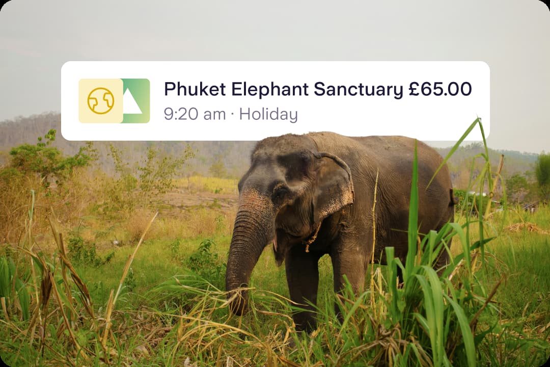 A photograph of an Indian elephant is overlaid with a notification from a Starling virtual card. The notification is for Phuket Elephant Sanctuary and is for £65.