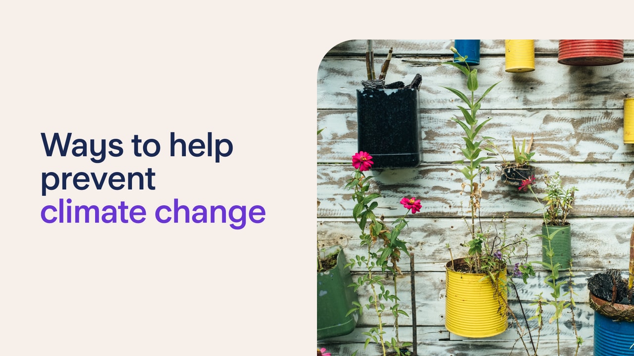 10 ways to help prevent climate change header image