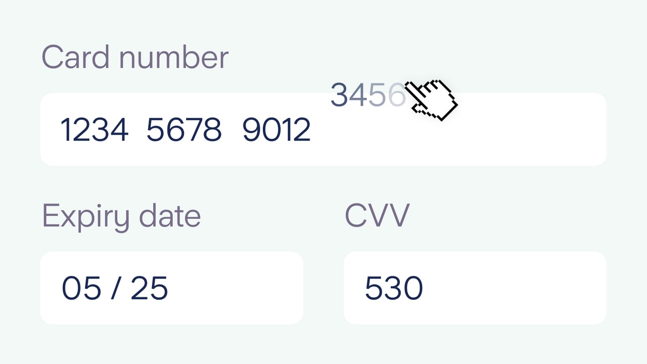 Card details - card number, expiry date, cvv