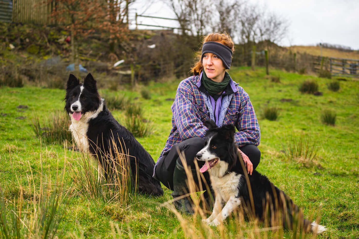 Image of Dot McCarthy and her dogs