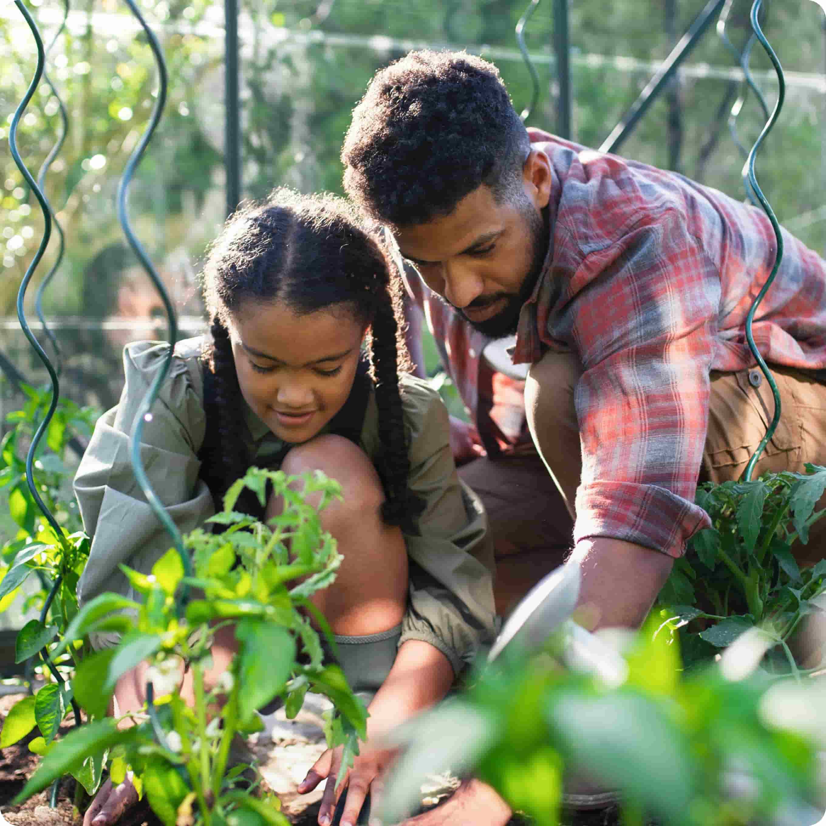 An image showing a father and his daughter gardening