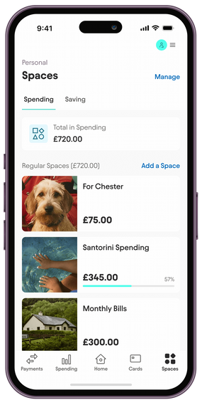 An example of the Starling app showing Spaces