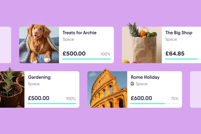 Spaces for different purposes, such as treats for your pet and gardening