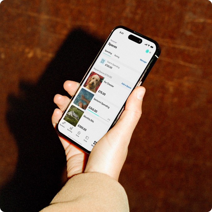 A Starling customer checking their spaces in the app
