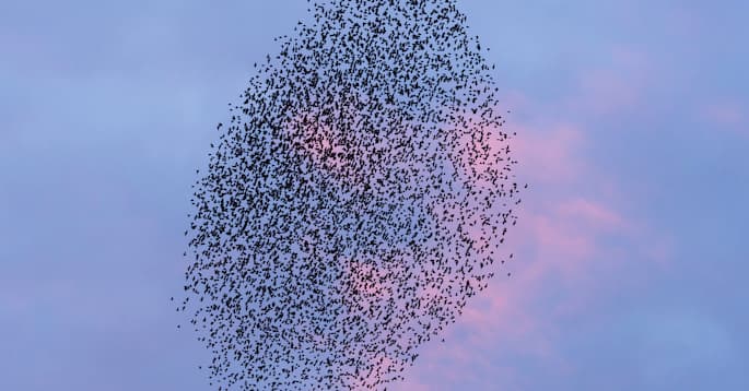 Starling Bank Trading Update - October 2020
