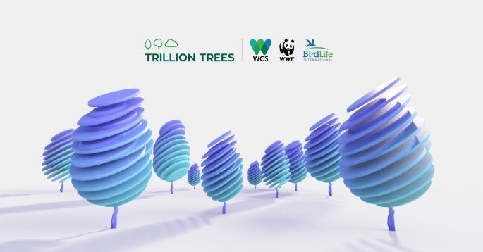 Seeding Success: Starling launches customer tree planting refer-a-friend scheme