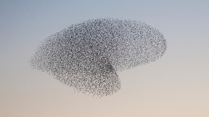 Starling Bank grows headcount by 20% this year
