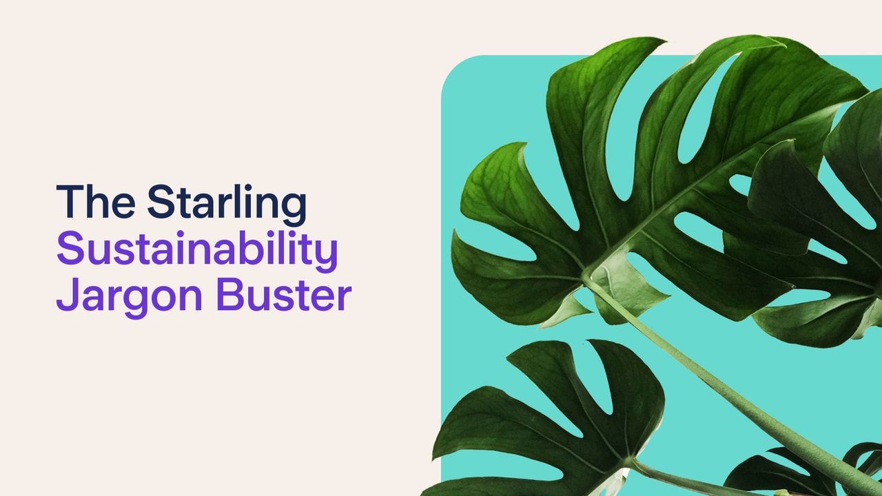 The Sustainability Jargon Buster header image