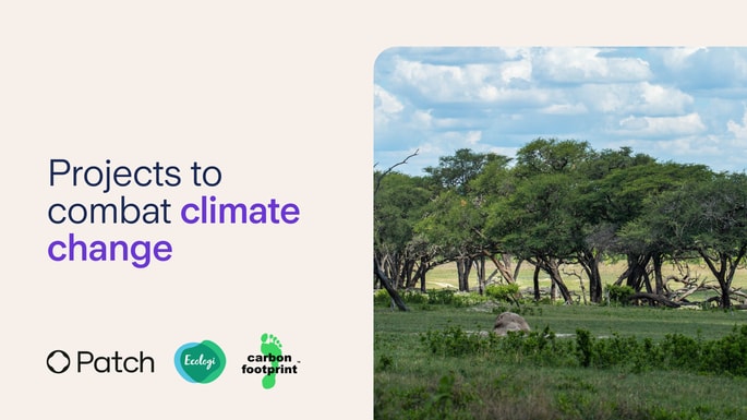 Tackling climate change: Carbon offsetting projects