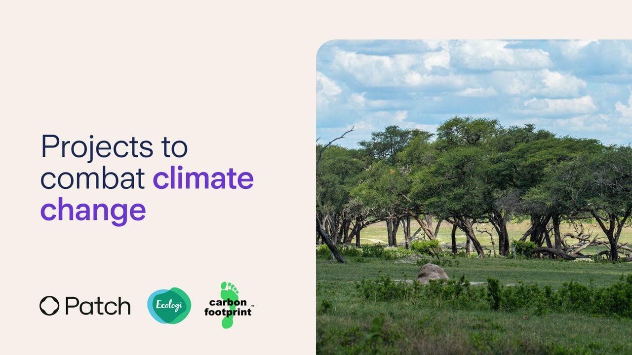 Tackling climate change: Carbon offsetting projects header image